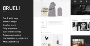 Brueli Minimal Portfolio / Agency / Architect WP Theme