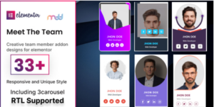 Meet the team elementor addon