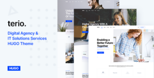 Terio Digital Agency & IT Services Hugo Theme
