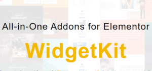 ThemesGrove WidgetKit Pro