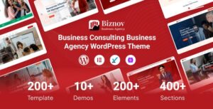 Biznov Business Consulting WP Theme