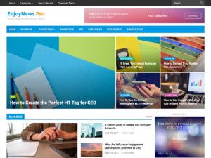 EnjoyNews Pro WPEnjoy Theme