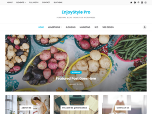 EnjoyStyle Pro