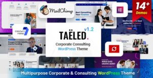 TAELED Business Consulting WP Theme