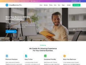VisualBusiness Pro