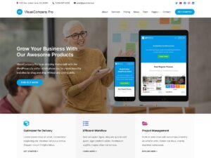 VisualCompany Pro