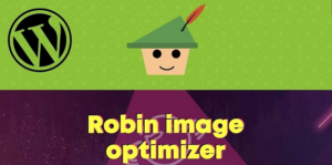 Webcraftic Robin image optimizer PRO WP image optimization [Read Desc*]