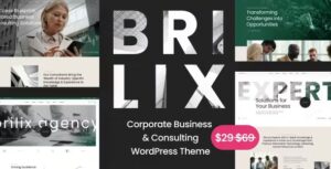 Brilix Corporate Business & Consulting WP Theme