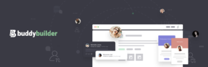 BuddyBuilder Pro Great Features and options to Customize Your BuddyPress Community