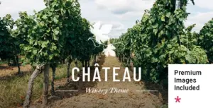 Château Winery and Wine Shop Theme
