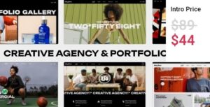 EverHue Creative Agency & Portfolio WP Theme