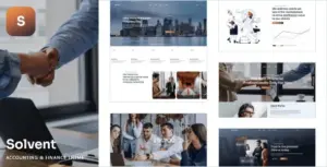 Solvent Accounting and Finance WP Theme
