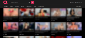 Adult Video Script + Addons (Tested)