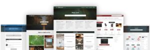 Wasabi Best WP Theme for SEO