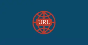 All In One WP Migration URL Extension
