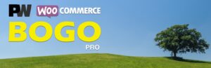 PW WooCommerce BOGO Pro [Pimwick] Buy One Get One