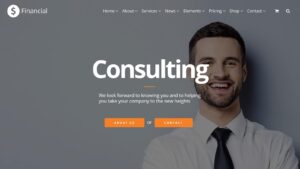 VisualModo Financial WP Theme