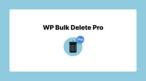 WP Bulk Delete Pro