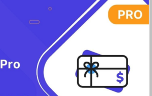 Ultimate Gift Cards For WooCommerce Pro by Wp Swings