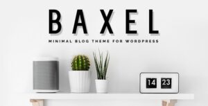 Baxel Minimal Blog Theme for WP Theme