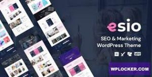 Esio SEO & Marketing WP Theme