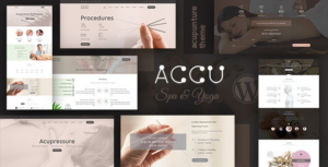 Accu Healthcare, Massage WP Theme