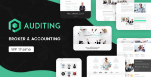 Auditing Accounting Consultant, Finance WordPres