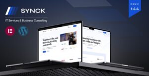 Synck Business & IT Solution WP