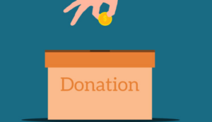 WP Charitable Pro (Agency) Addons*