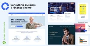 Advisero Consulting WP Theme