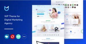 NanoText Digital Marketing WP Theme