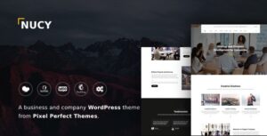 Nucy Business & Company WP Theme
