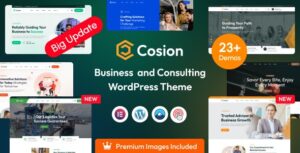 Cosion Business Consulting WP Theme