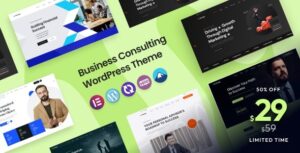 Seargin Business Consulting WP Theme