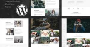 Selena. Multipirpose WP Theme