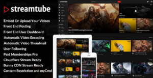 StreamTube + Addons Video WP Theme