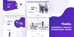 Thallo Consulting & Finance WP Theme