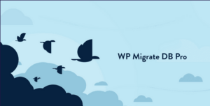 WP Migrate DB Pro + Addons