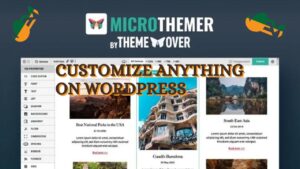 MicroThemer WP CSS Editor