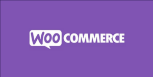 Product Video for WooCommerce (Addify)