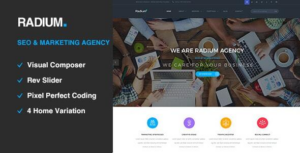 Radium SEO /Digital Agency WP Theme