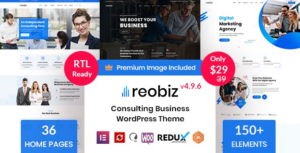 Reobiz Consulting Business WP Theme
