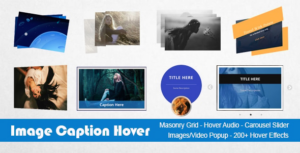 Image Caption Hover Pro WP Plugin