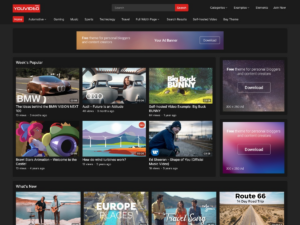 YouVideo Pro WPEnjoy Themes