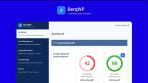 BerqWP WP Speed & Core Web Vitals Optimization Plugin