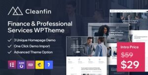 Cleanfin Finance Consulting WP Theme