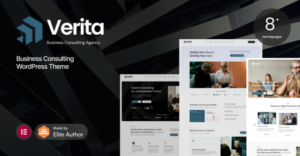 Verita Business Consulting WP Theme