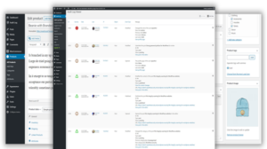 WP Activity Log Premium