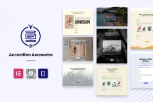 Accordion Awesome Pro