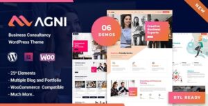 Agni Business Consulting WP Theme